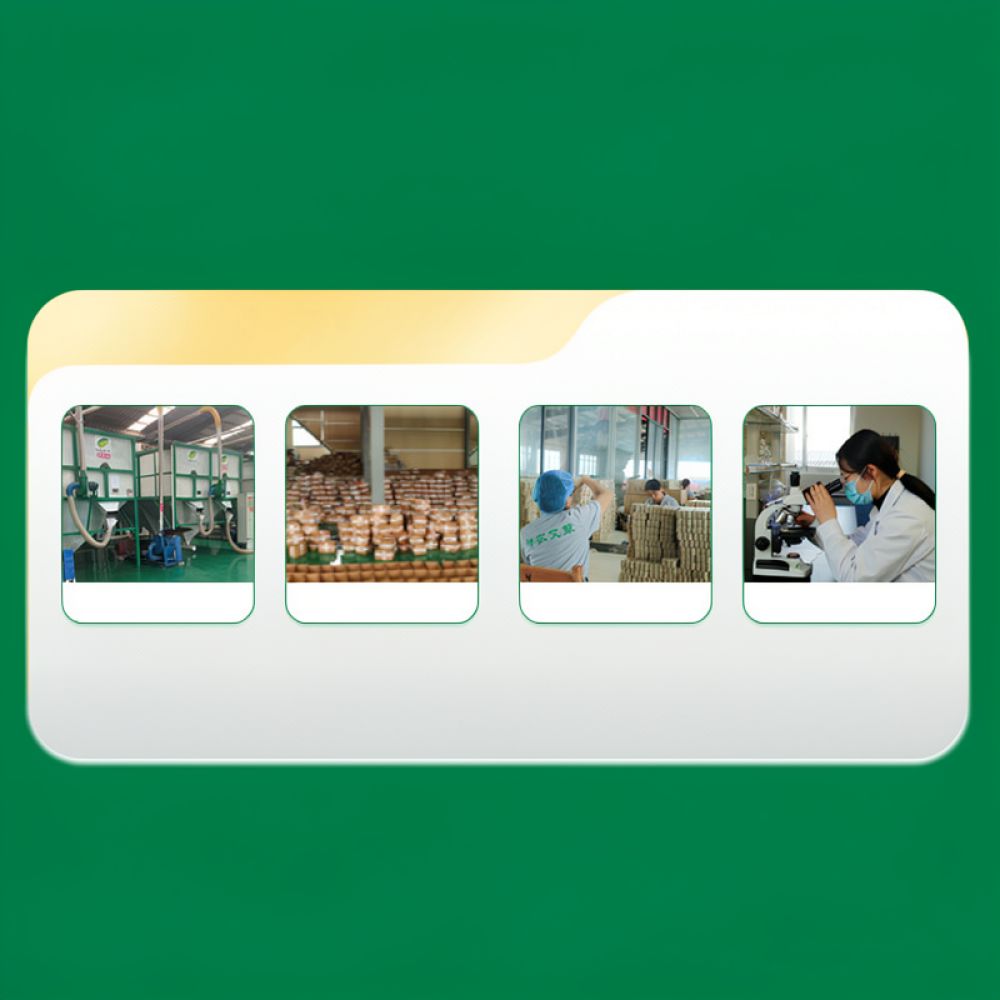 عصا الموكسا المكربنة الخالية م - مراجعة Therapy Health And Wellness وسعره